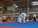 taekwondo2011060