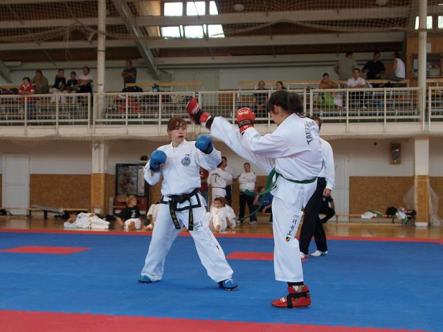 taekwondo2011061