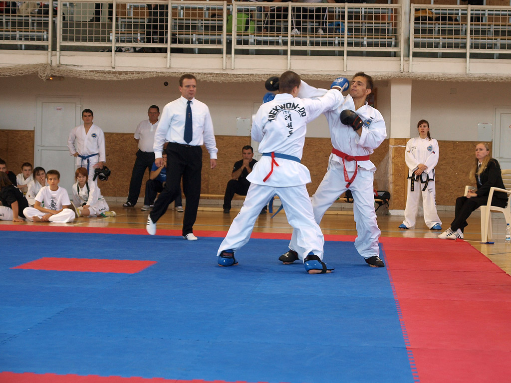 taekwondo2011065