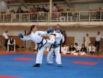 taekwondo2011066
