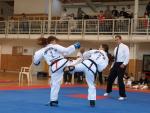 taekwondo2011067