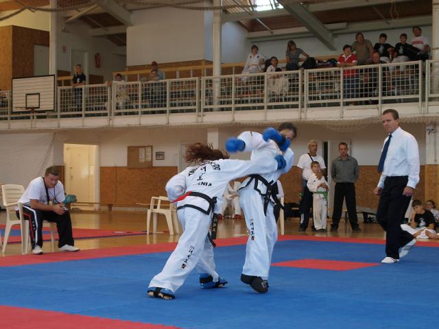taekwondo2011068