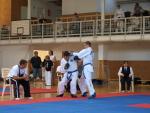 taekwondo2011069