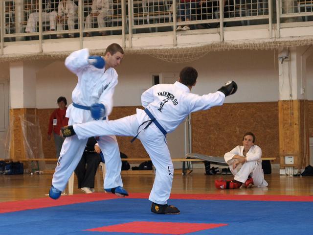 taekwondo2011070