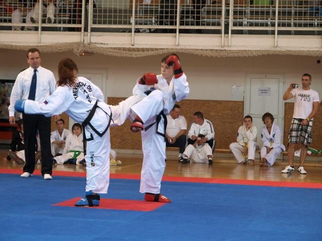 taekwondo2011072