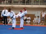 taekwondo2011072