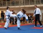 taekwondo2011073