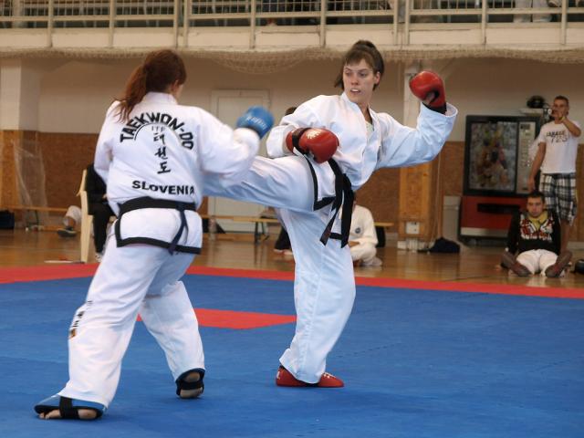 taekwondo2011074