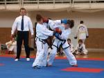 taekwondo2011075
