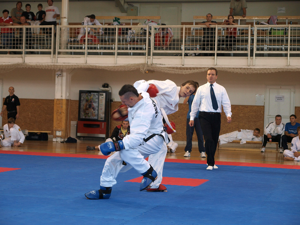 taekwondo2011076