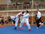 taekwondo2011078