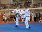 taekwondo2011079