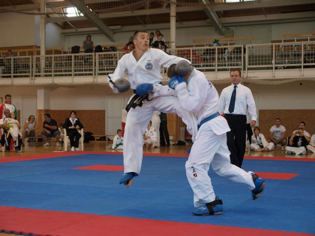 taekwondo2011080