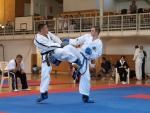 taekwondo2011081