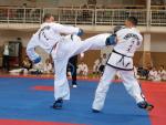taekwondo2011082