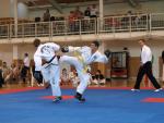 taekwondo2011084
