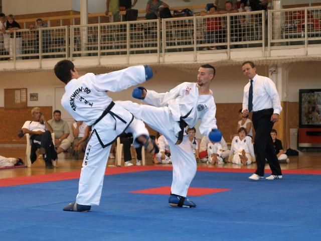 taekwondo2011085