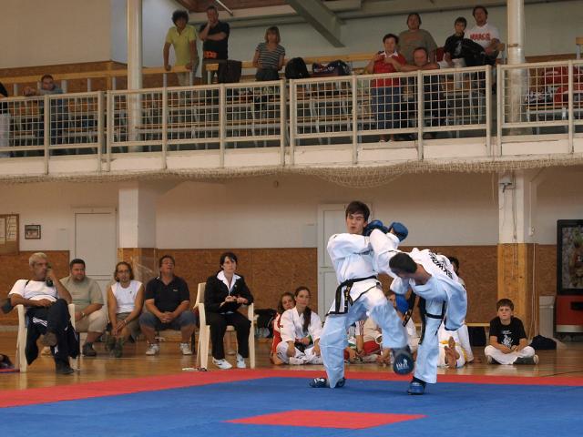 taekwondo2011086