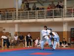 taekwondo2011086