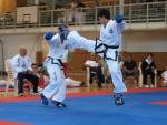 taekwondo2011087