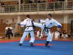 taekwondo2011088