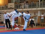 taekwondo2011089