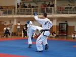 taekwondo2011090