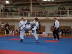 taekwondo2011091
