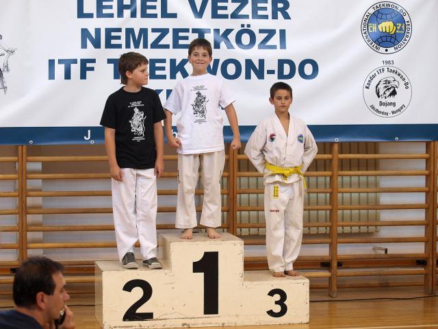 taekwondo2011095