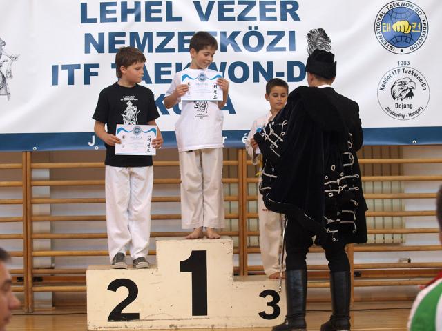 taekwondo2011096
