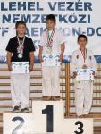 taekwondo2011097