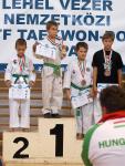 taekwondo2011098