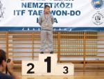 taekwondo2011099