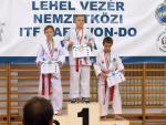 taekwondo2011100