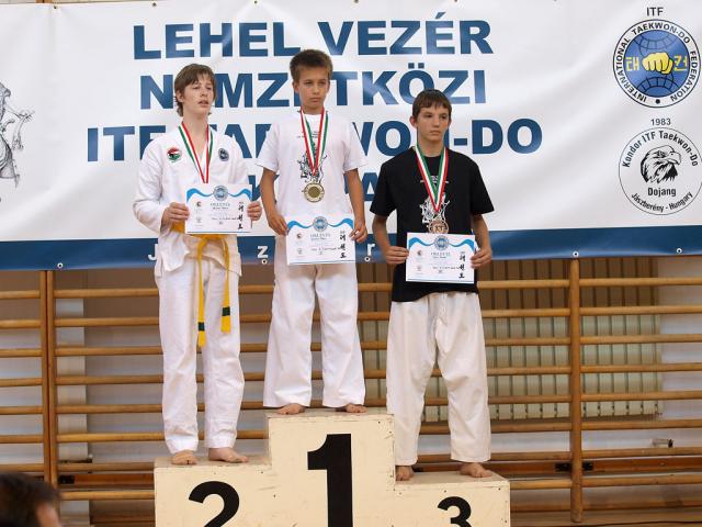 taekwondo2011101