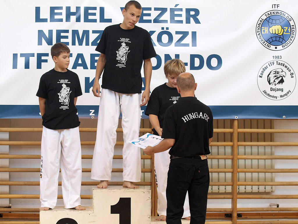taekwondo2011103