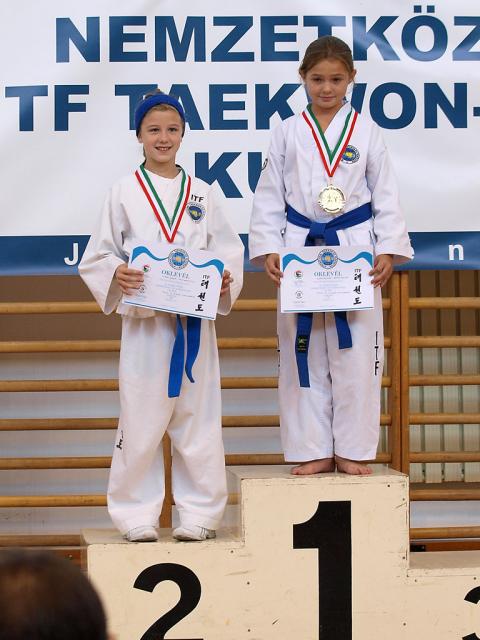 taekwondo2011113