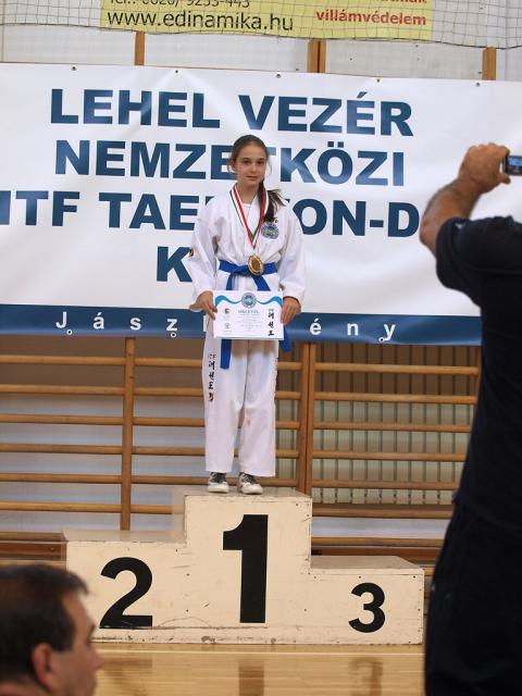 taekwondo2011116