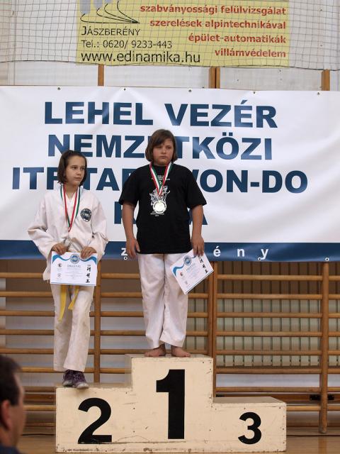 taekwondo2011118
