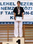 taekwondo2011120
