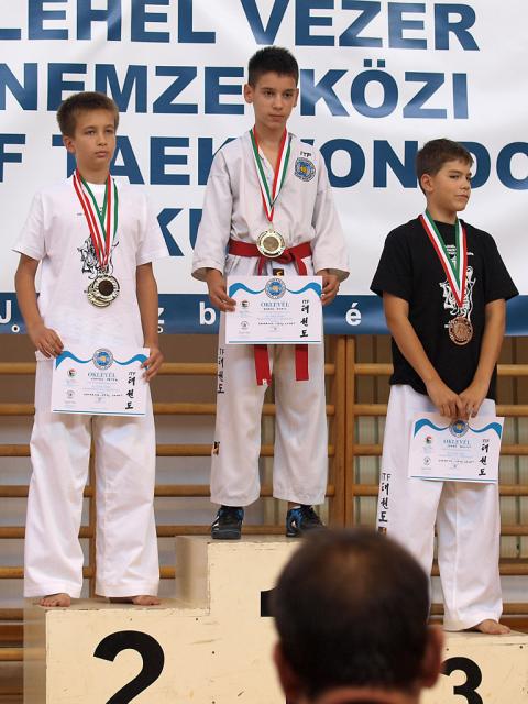 taekwondo2011125