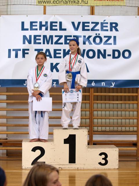 taekwondo2011131