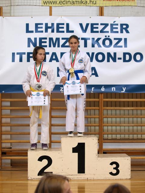 taekwondo2011132