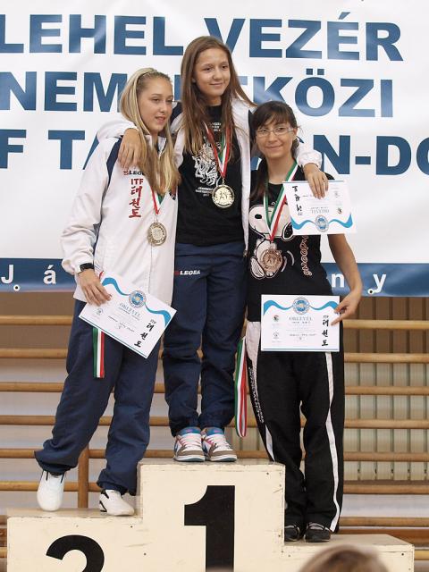 taekwondo2011134