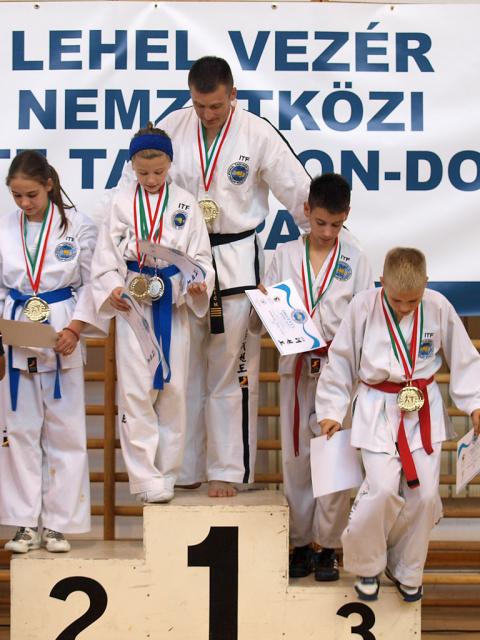 taekwondo2011139