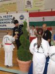 taekwondo2011143