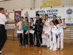 taekwondo2011145