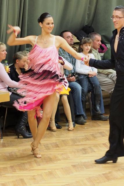 tancv20121124109