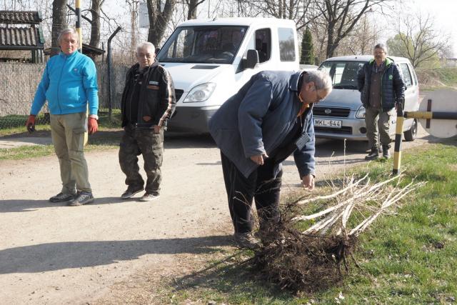 vasaskornyvn2019014