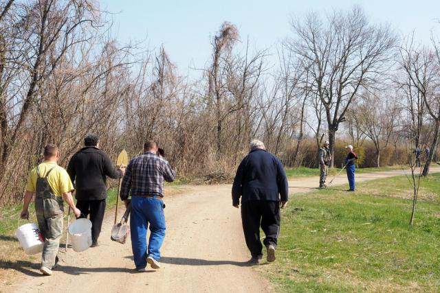 vasaskornyvn2019028